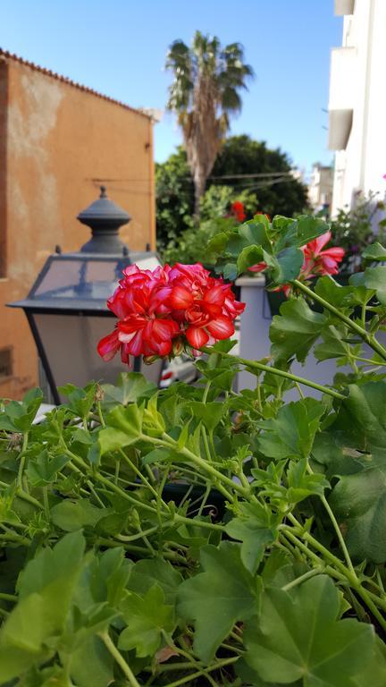 Bed and Breakfast Al Sale Cagliari Zewnętrze zdjęcie